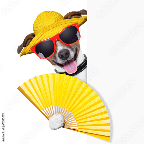 Photo: summer cocktail dog summer cocktail dog