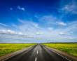 Road in blooming spring meadow