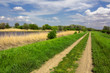 Country Road