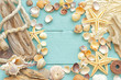Sea shells greeting card