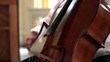 Musician Playing the Cello