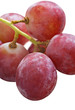 Bunch of red grapes on white