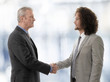 Two businessmen shaking hands