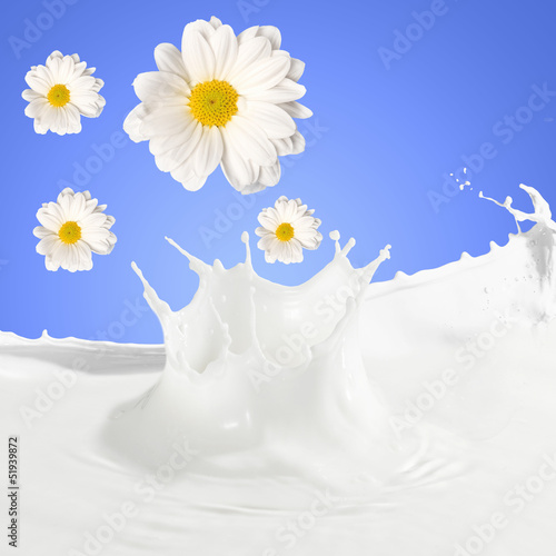 Photo: Fresh milk with camomile Fresh milk with camomile