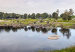 Árboles alrededor del lago