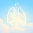 Schematic illustration of human lungs