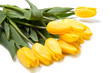 Photo: mazzo di tulipani gialli mazzo di tulipani gialli