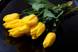 tulipani gialli