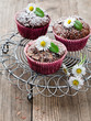 Muffins