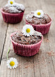 Muffins
