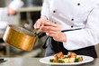 Chef in hotel or restaurant kitchen cooking