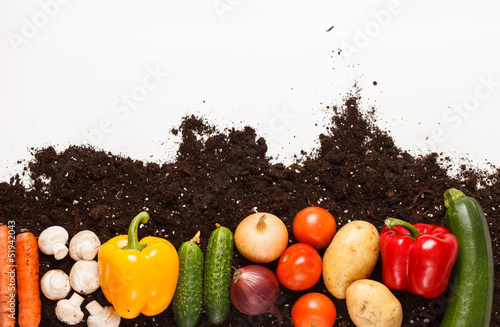 Photo: vegetables on the soil vegetables on the soil