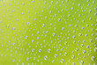 green background