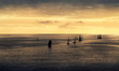 sailing boats