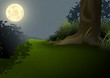 Night Landscape - Cartoon Background