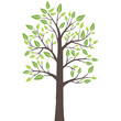 Stylized lone tree with fresh young leaves in spring