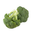 Composition with fresh vegetables of broccoli on a white