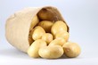 Kartoffeln02