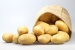 Kartoffeln03