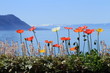 Foto: Springtime at Geneva lake, Montreux, Switzerland Springtime at Geneva lake, Montreux, Switzerland