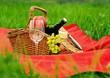 Foto: gefüllter Picknickkorb auf einer Wiese gefüllter Picknickkorb auf einer Wiese