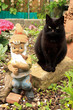Schwarze Katze mit Gartenzwerg