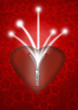open heart