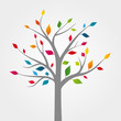 Arbre illustration