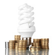 Energy saving lamp and money isolated on white