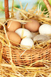 white anf brown eggs in a wicker bascet