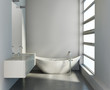 Minimal contemporary grey bathroom with bathtub and sink