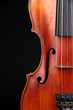 Classical violin on black background