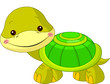 Fun zoo. Turtle