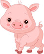 Fun zoo. Pig