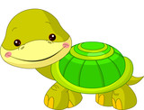 Fun zoo. Turtle