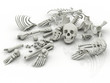 Skeleton parts on the floor