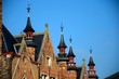 Medieval building, towers & vanes