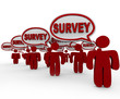 Illustration: Survey Focus Group People Customers Answering Questions Survey Focus Group People Customers Answering Questions