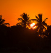 Tropical beach