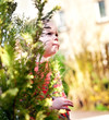 Foto: im garten im garten