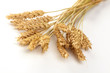 Foto: Stalks of wheat ears Stalks of wheat ears
