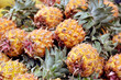Close up of fresh pineapple on market stand