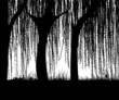 Vector: Willows Willows