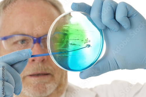 Photo: Microbiologie - Ensemencement Microbiologie - Ensemencement