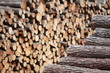 two piles of wooden logs  - focus on the first
