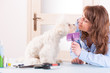 Dog grooming