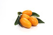 kumquat