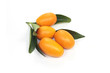 kumquat
