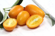 kumquat