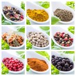 Collection of herbs and spices